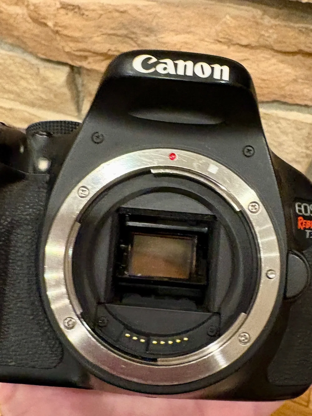 Canon DSLR Camera Body in Black with Black Strap and Red Trim